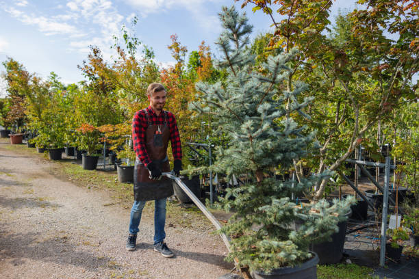 Best Tree Care Services  in Heflin, AL